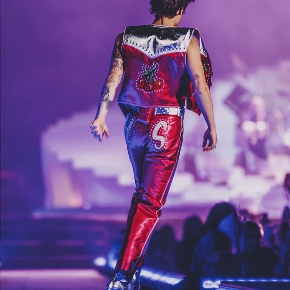 Harry Styles Cherry Costume - HANDMADE/ONE OF A KIND - Picture 4 of 12